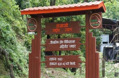 Rajaji National Park Entrance Gate