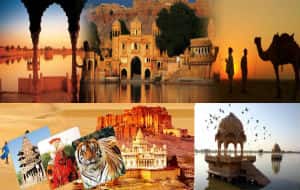 Rajasthan Wildlife Tour