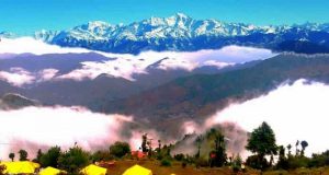 dhanaulti camps