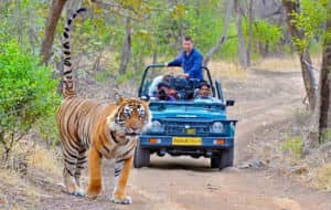 bharatpur bird sanctuary