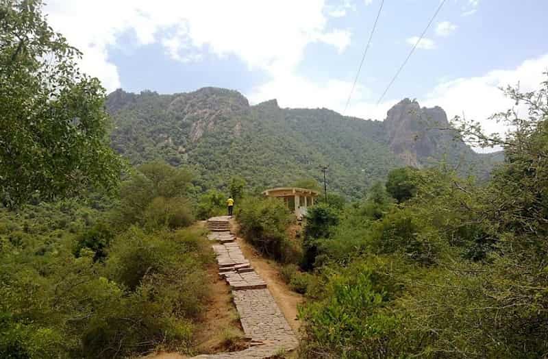Amirthi Forest & ZoologicalPark, Vellore