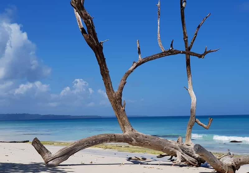 Portblair ,Havelock ,Neil Island