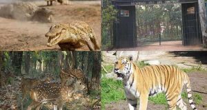 Hazaribagh Wildlife Sanctuary