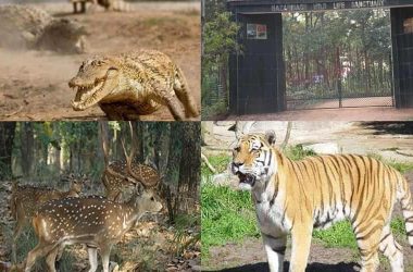 List of National Parks and Wildlife Sanctuaries in Jharkhand