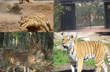 Hazaribagh Wildlife Sanctuary