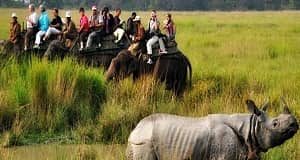 Assam Wildlife Tour