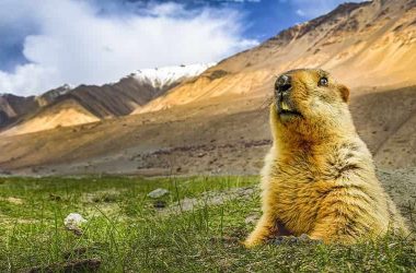 Pin Valley National Park