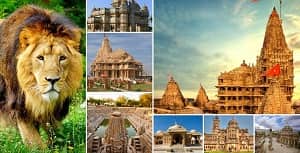Wonders of Gujarat tour