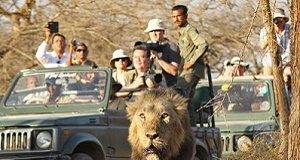 gujarat jungle jeep safari