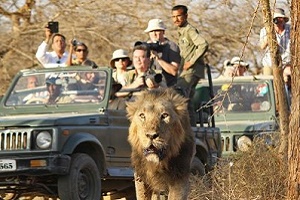 gujarat jungle jeep safari