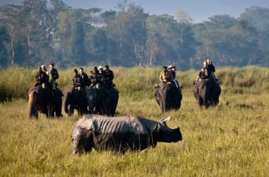 Kaziranga Wildlife Tour Package