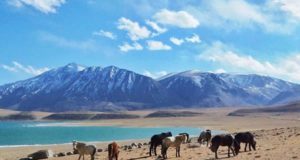 Leh Ladakh Packages