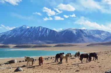 Leh Ladakh Packages
