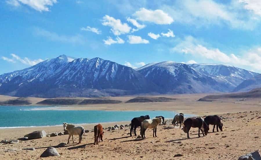 Leh Ladakh Packages