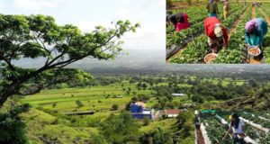 Mahabaleshwar-Panchgani Tour Packages