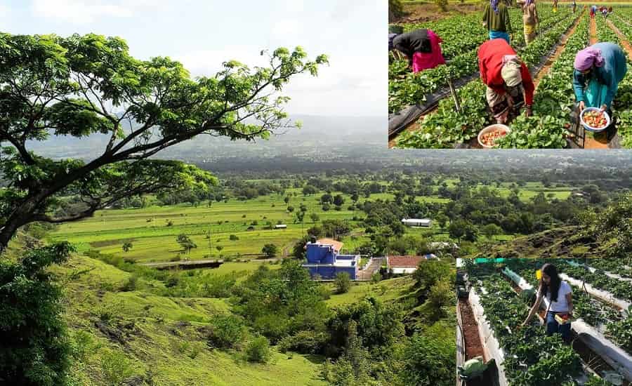 Mahabaleshwar-Panchgani Tour Packages