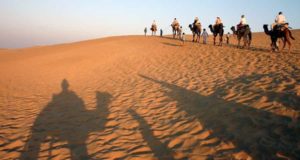 Rajasthan Camel Safari