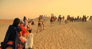 Best Rajasthan Desert Safari Tours