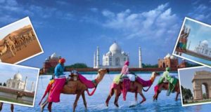 Best of India Tour Package