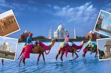 Best of India Tour Package