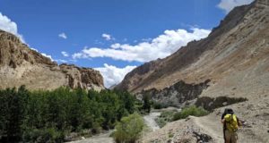 Markha Valley Trek