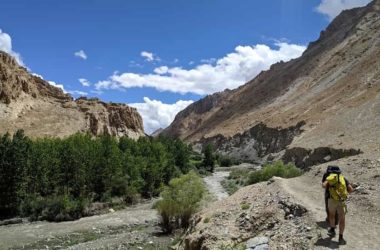 Markha Valley Trek