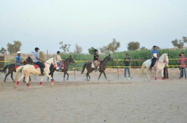Bikaner Horse Safari Tour