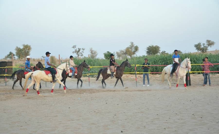 Bikaner Horse Safari Tour