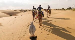 Rajasthan Camel Safari Tour