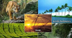 kerala tour packages from gujarat