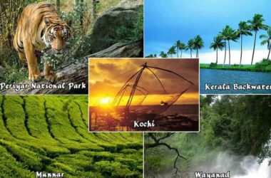 kerala tour packages from gujarat