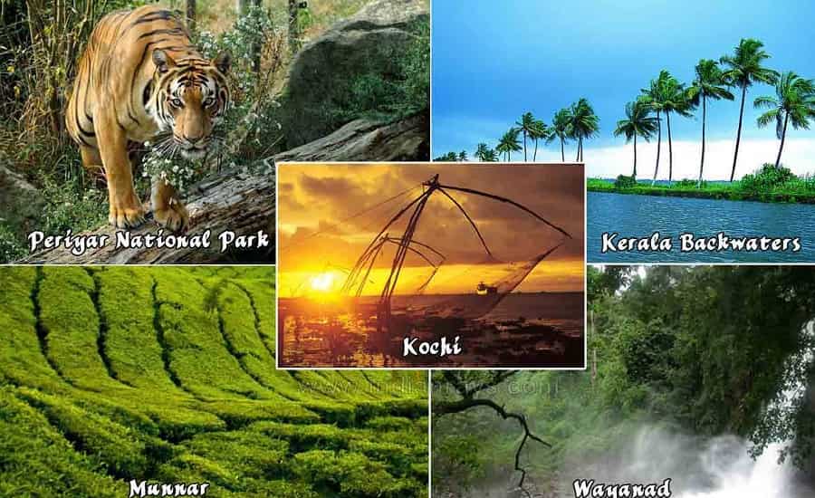 kerala tour packages from gujarat