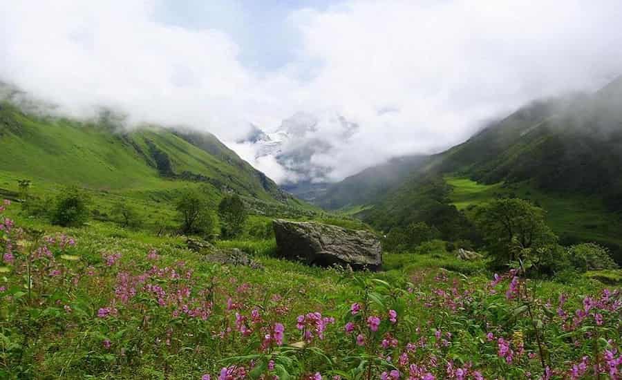 Valley of Flowers Trek