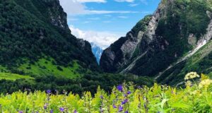 Valley of Flowers in Uttarakhand