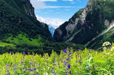 Valley of Flowers in Uttarakhand
