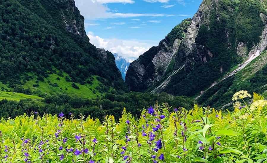 Valley of Flowers in Uttarakhand